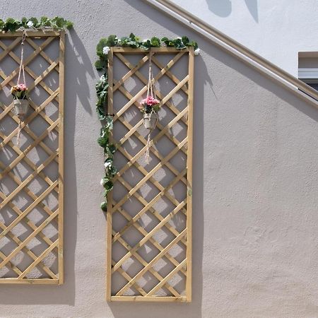Hotel Amo El Mar Sykia Chalkidikis Exteriér fotografie